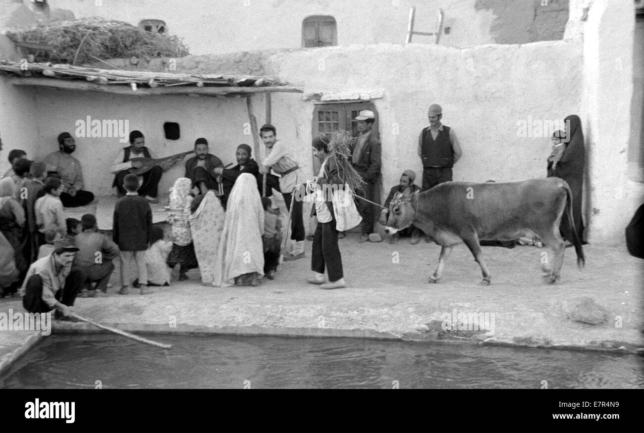 Gaav The Cow Year : 1968 Iran Director : Dariush Mehrjui Ezzatollah Entezami Stock Photo