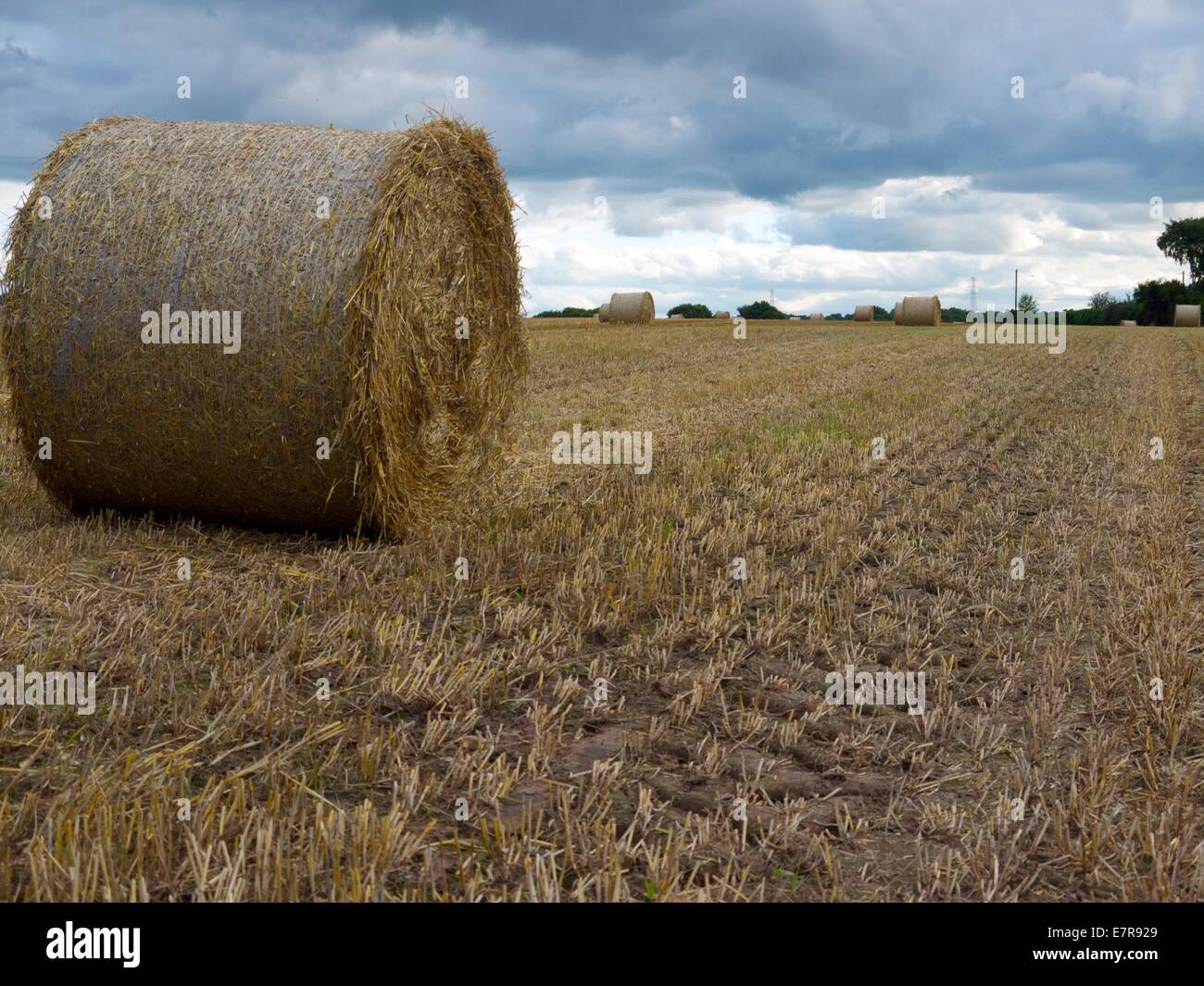 Hay rolls in a farmers field Stock Photo - Alamy