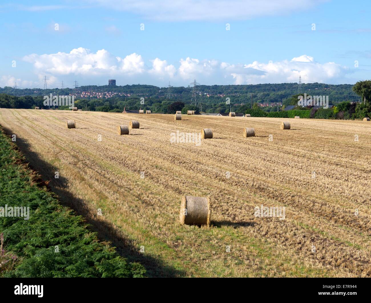Rolls of hay in a farmers field with a water tower in the background ...