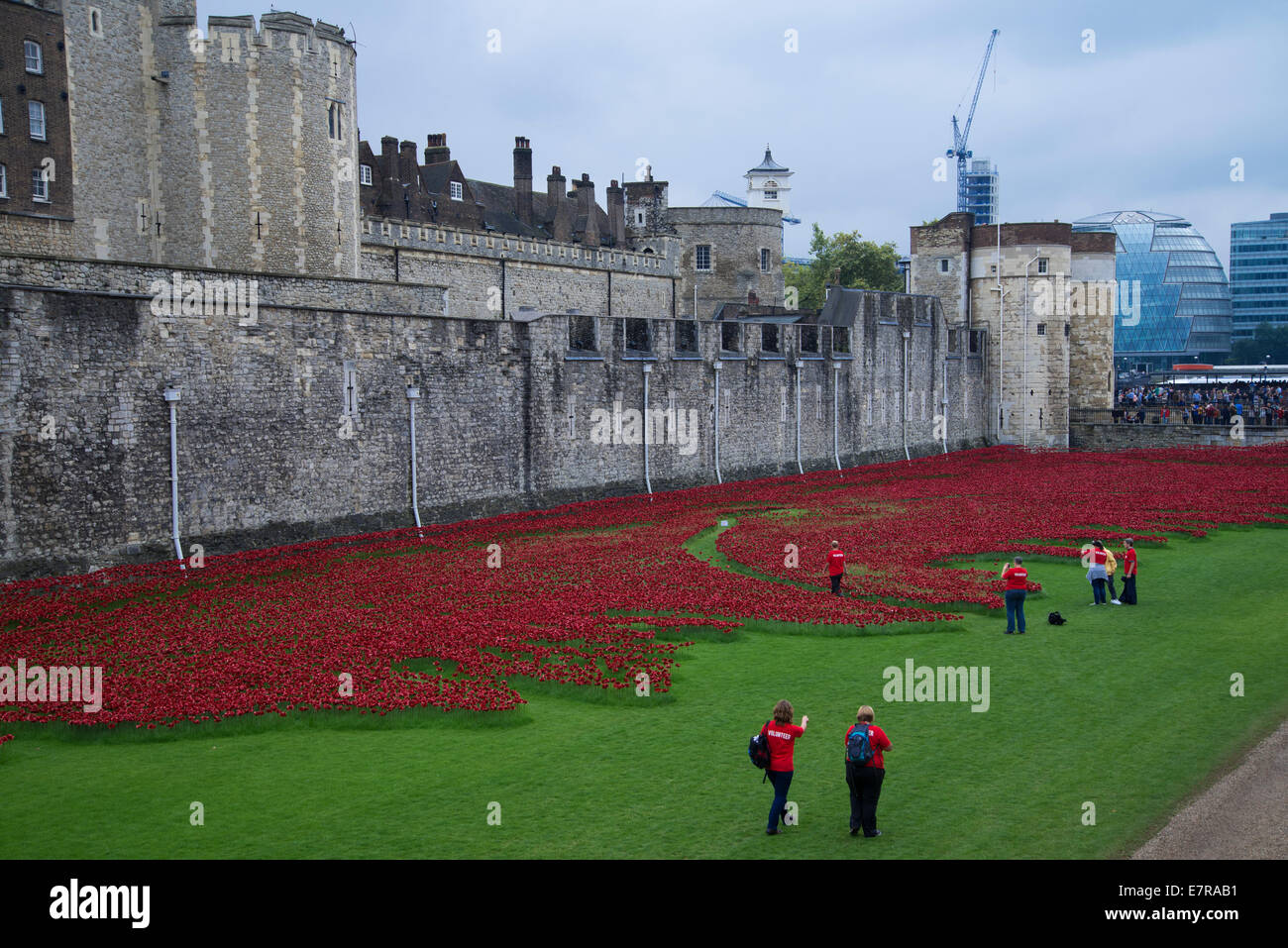 Ceramic poppies commemorating British and Commonwealth soldiers that died in World War 1 Stock Photo