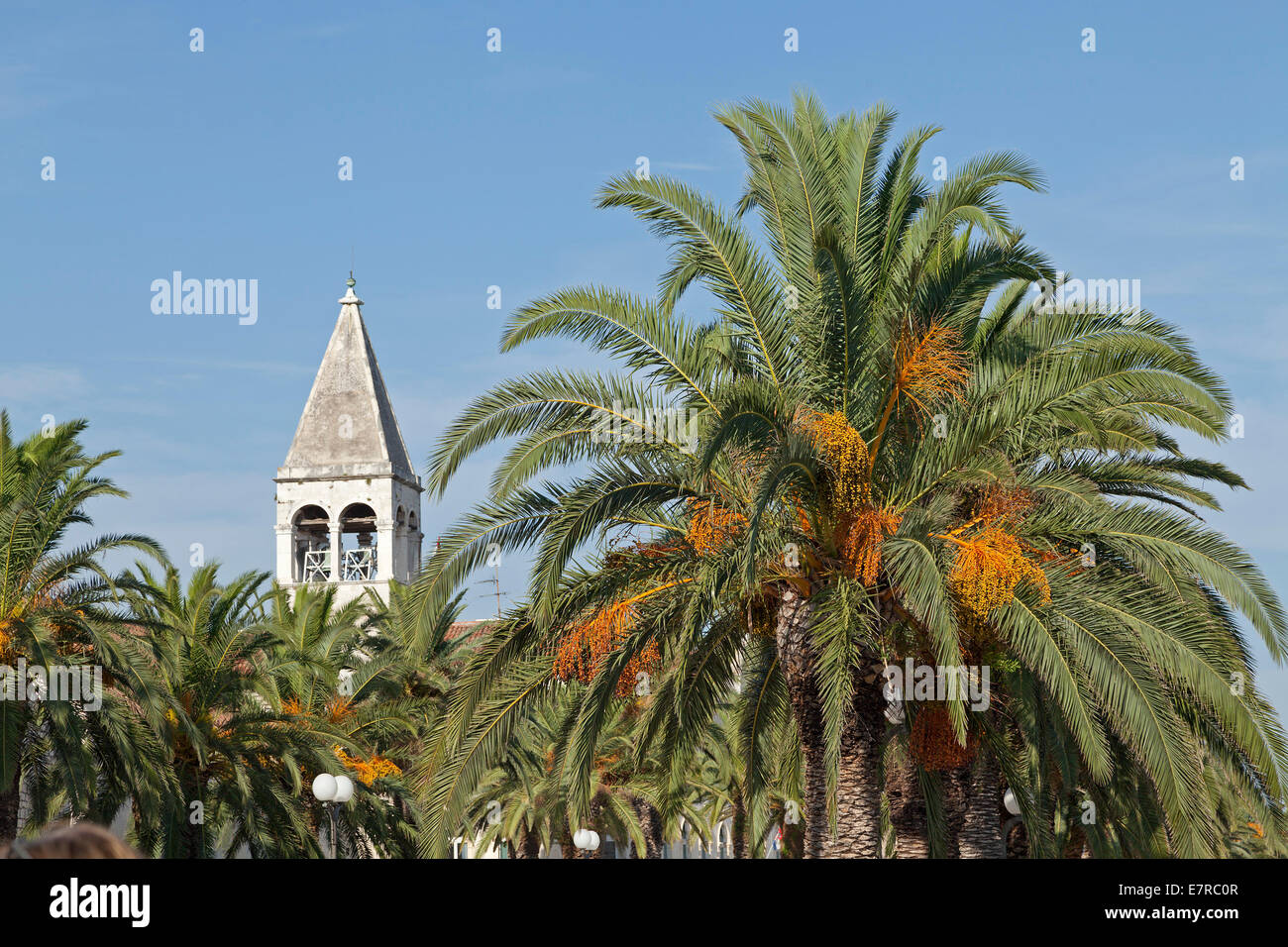 belfry of Dominican Church, Trogir, Dalmatia, Croatia Stock Photo