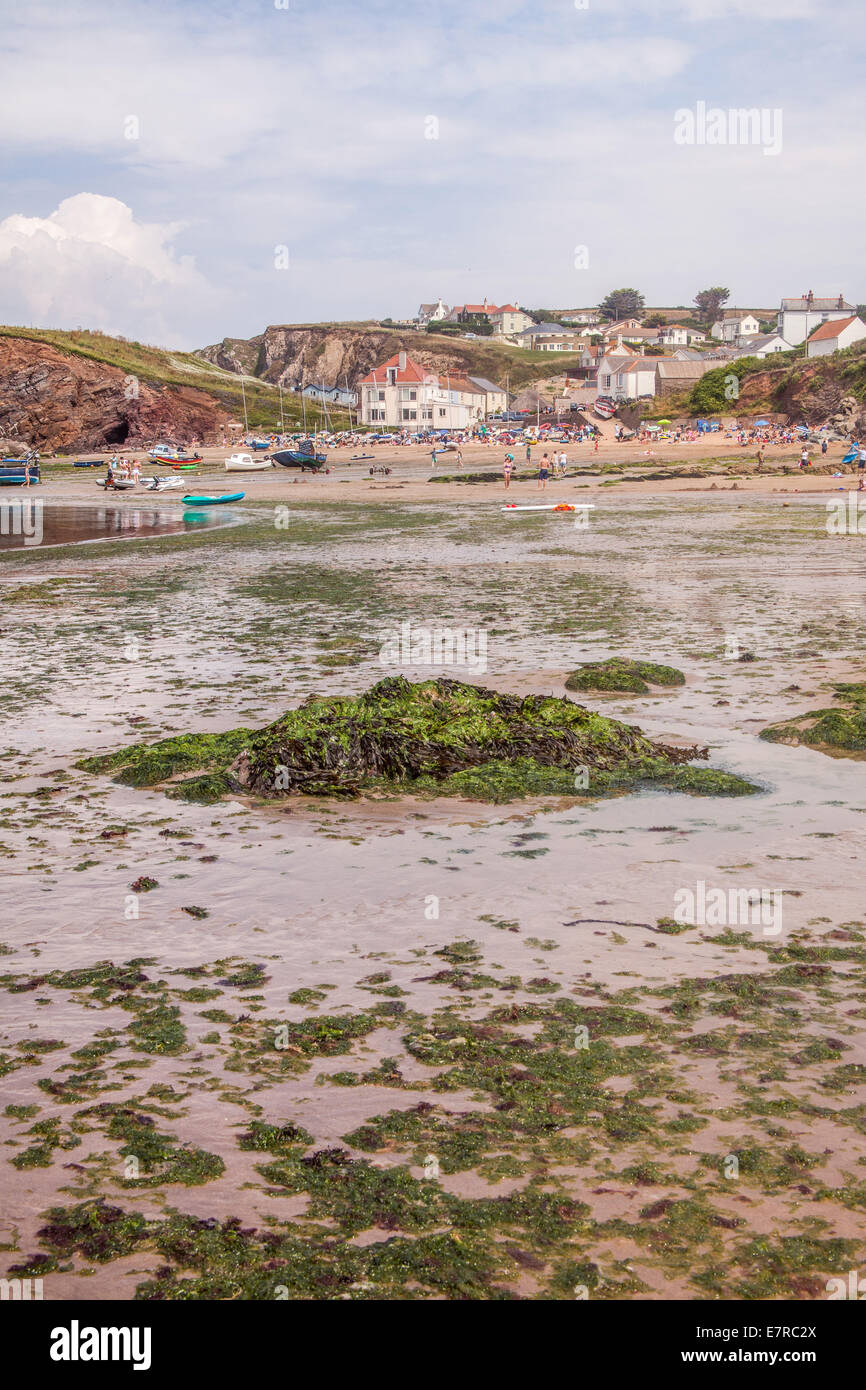 Hope Cove, Kingsbridge, Devon, England, United Kingdom Stock Photo Alamy