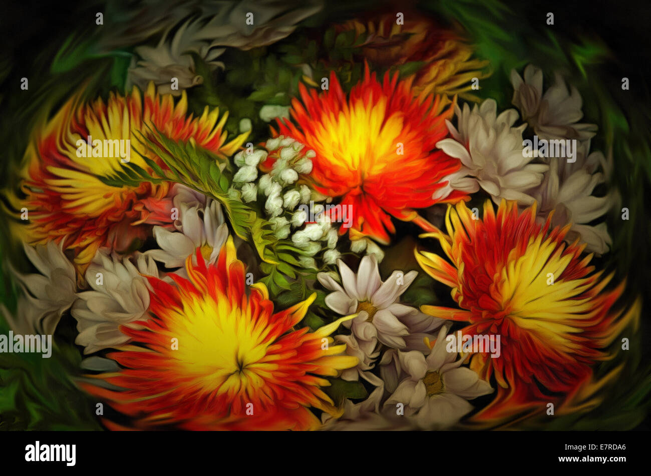 Chrysanthemum (Latin Chrysánthemum ) genus of annual and perennial