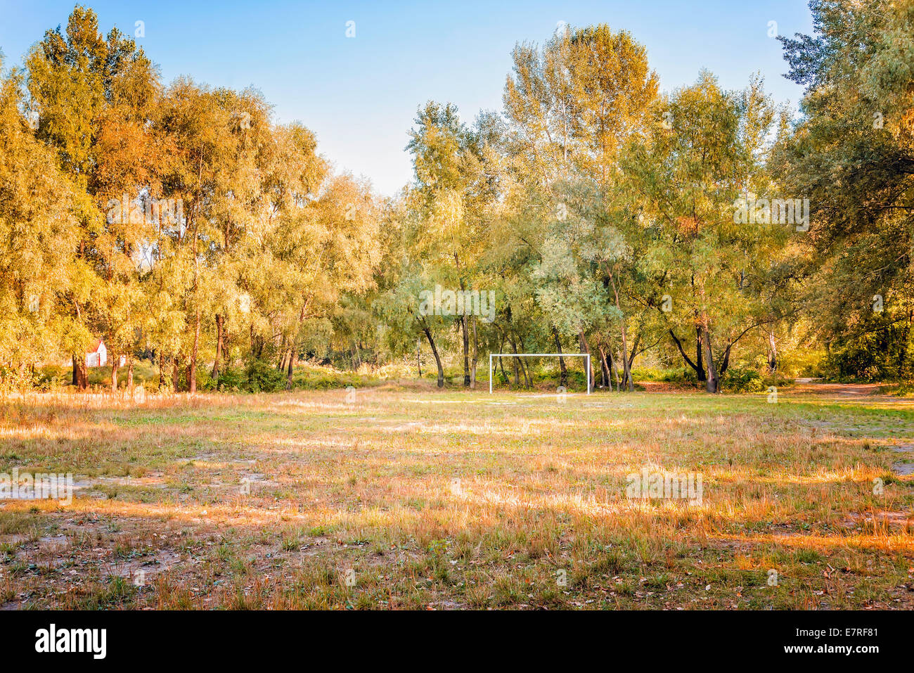 A football (soccer) playground surrounded by trees in the middle of the forest Stock Photo