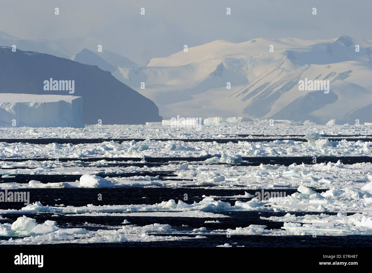 Icebergs infront of landscape of mainland Antarctica Stock Photo