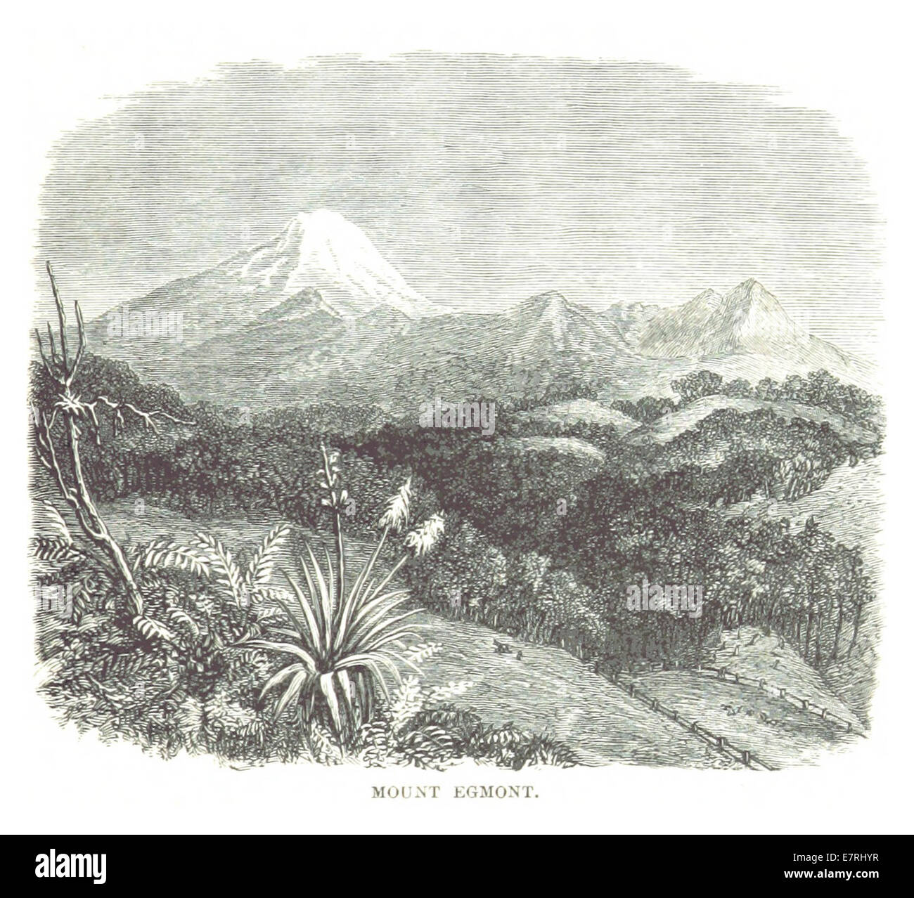 ALEXANDER(1873) p349 MOUNT EGMONT Stock Photo