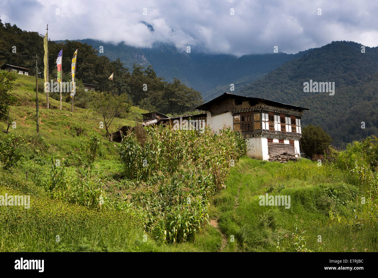 Eastern Bhutan, Trashi Yangtse, traditional farmhouse on steep hillside above Trashiyangtse Stock Photo