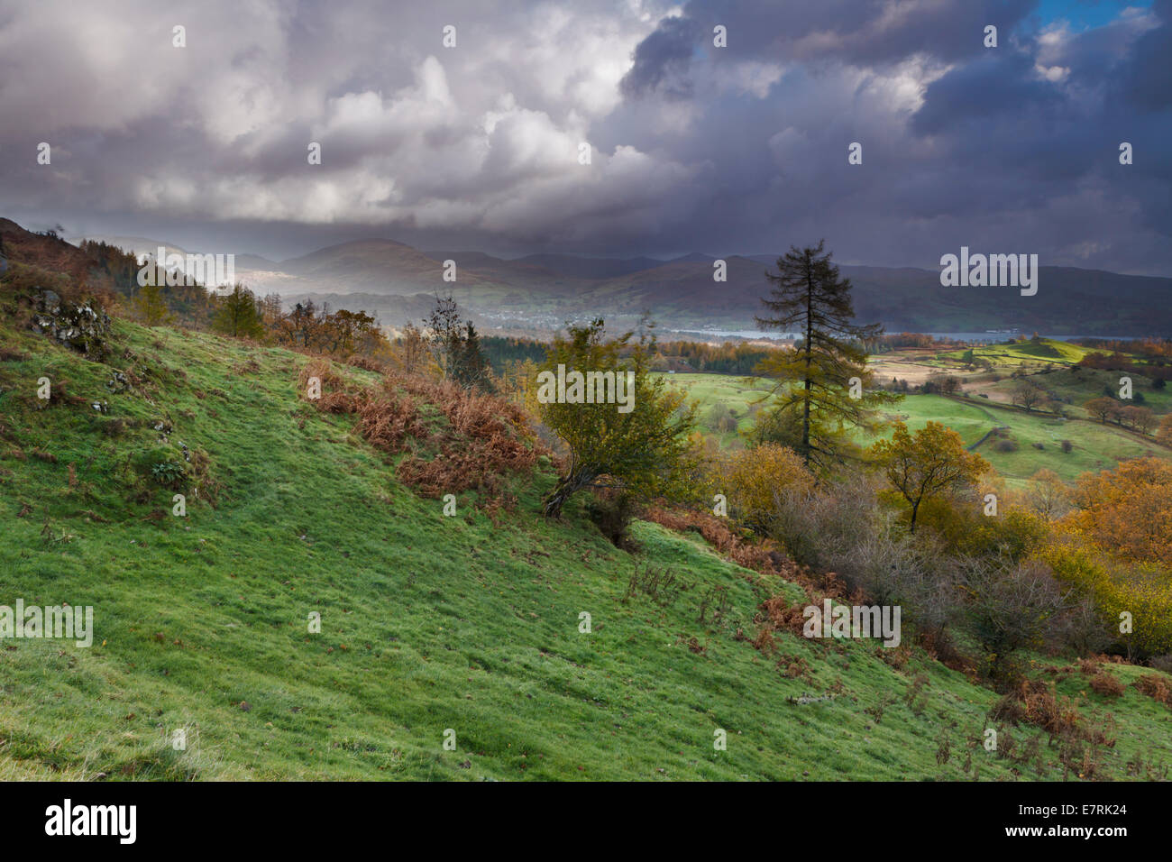 Skelwith Farmland, Lake District, Cumbria, UK Stock Photo