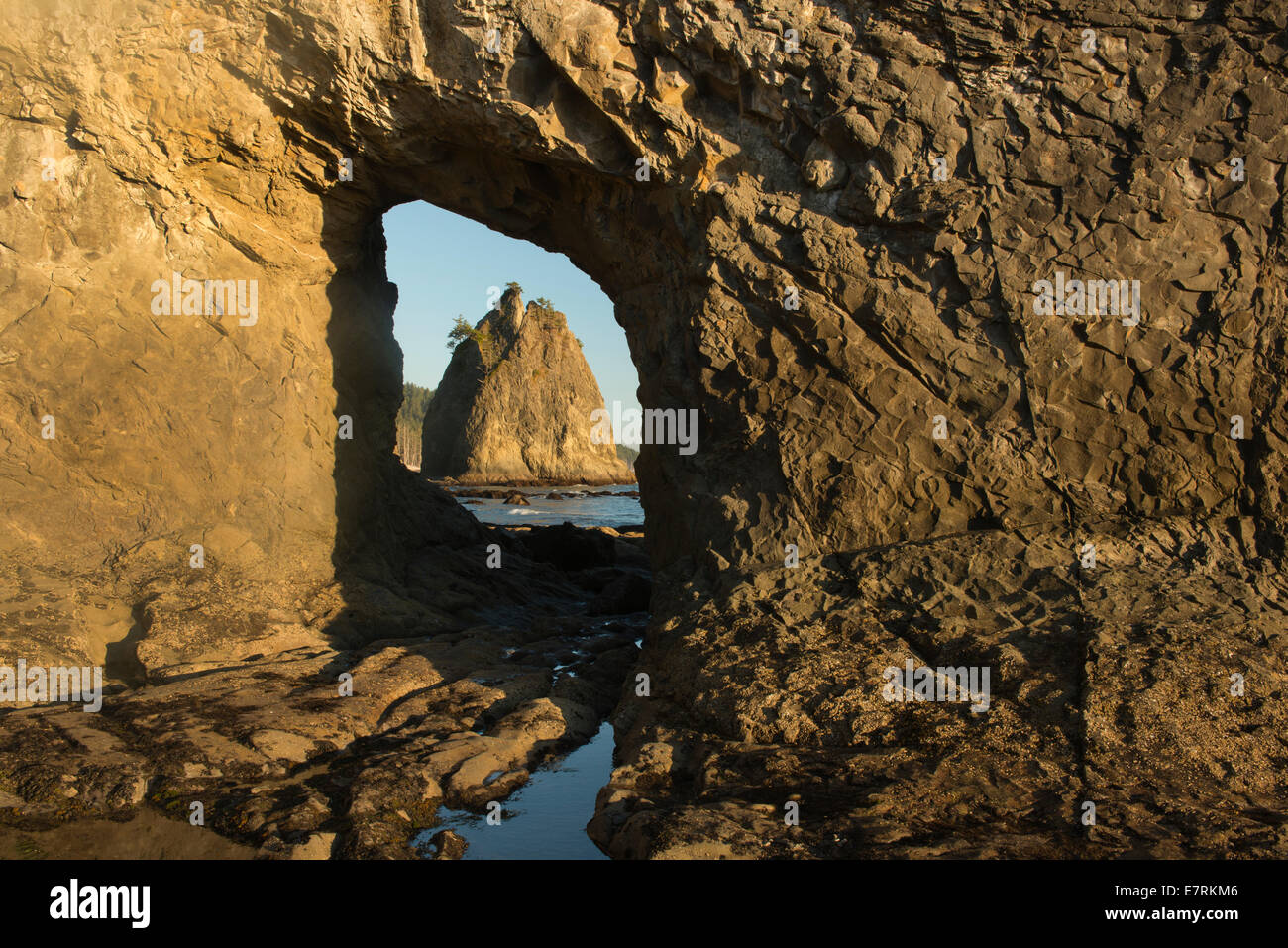 View of Sea Stack through Hole-in-the-Wall natural arch, Rialto Beach, Olympic National Park, Washington Stock Photo