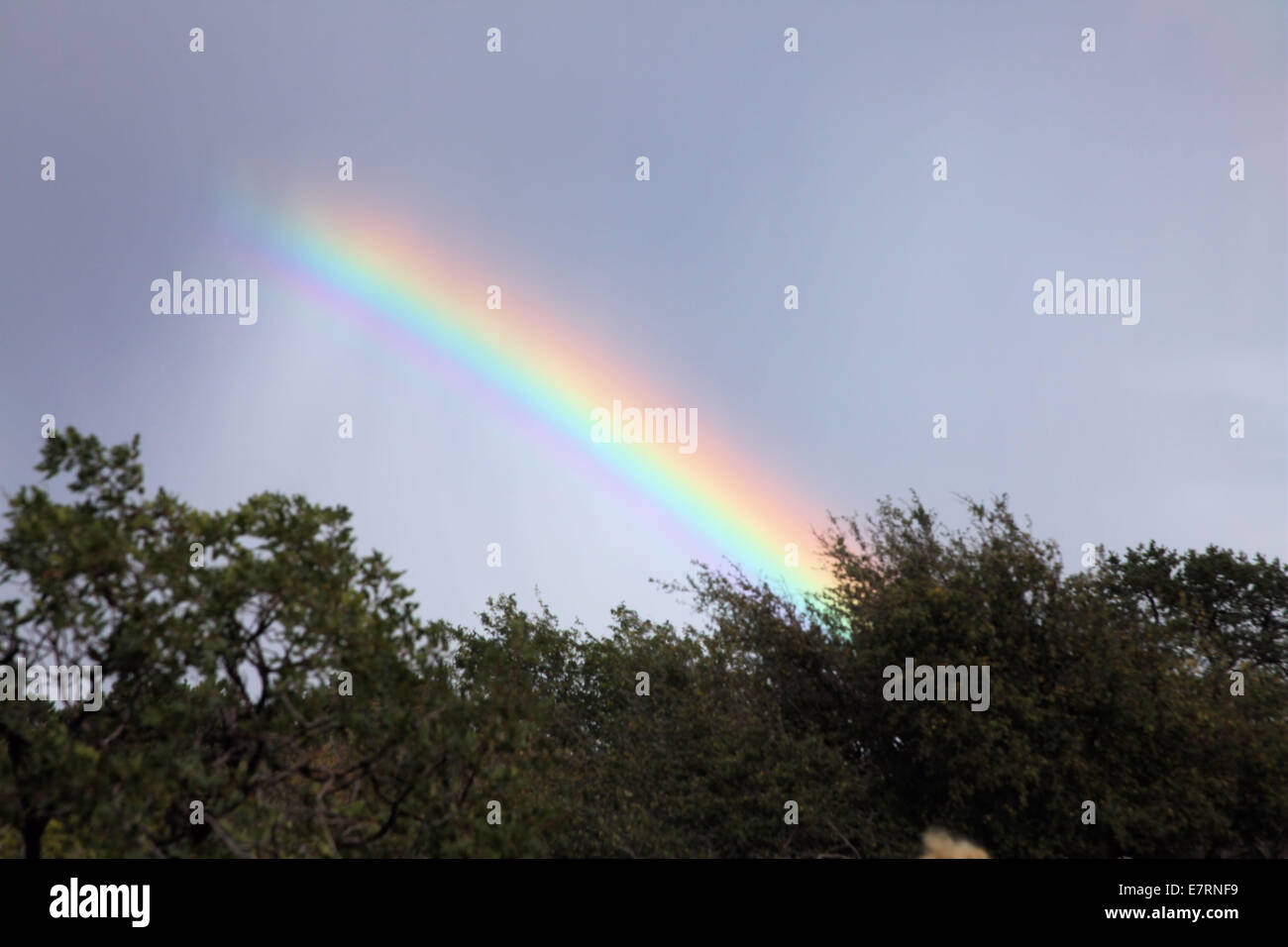 CAPTURED RAINBOW AT GRAND CANYON OVERLOOK Stock Photo - Alamy