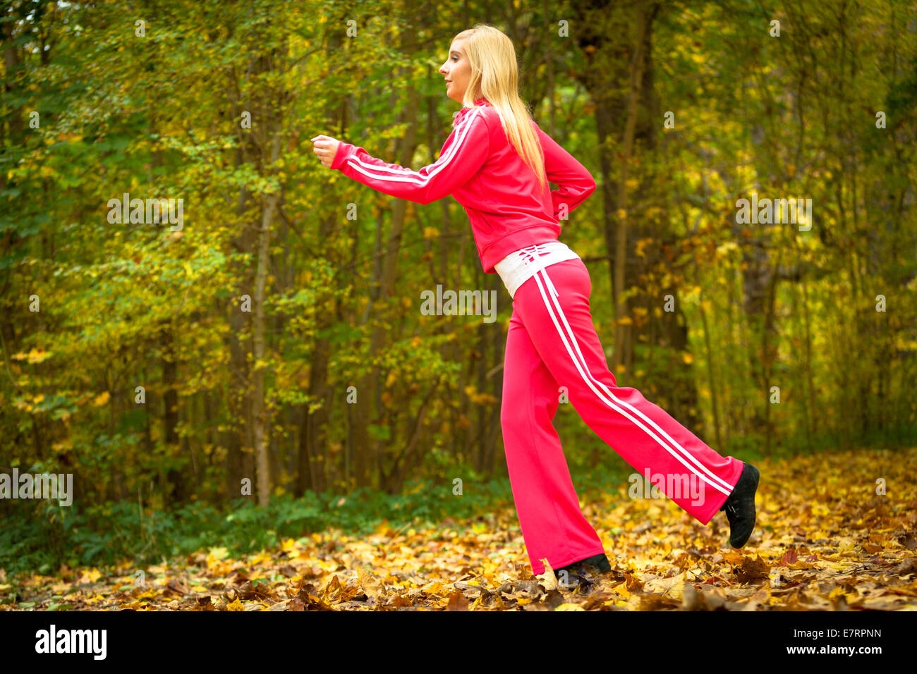 Woman running in autumn fall forest. Female runner training outdoor ...