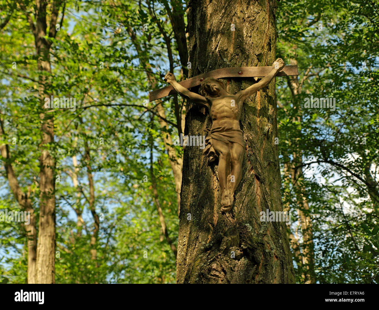 crucifixion on the tree, Jesus Christ, ruined old statue in nature 