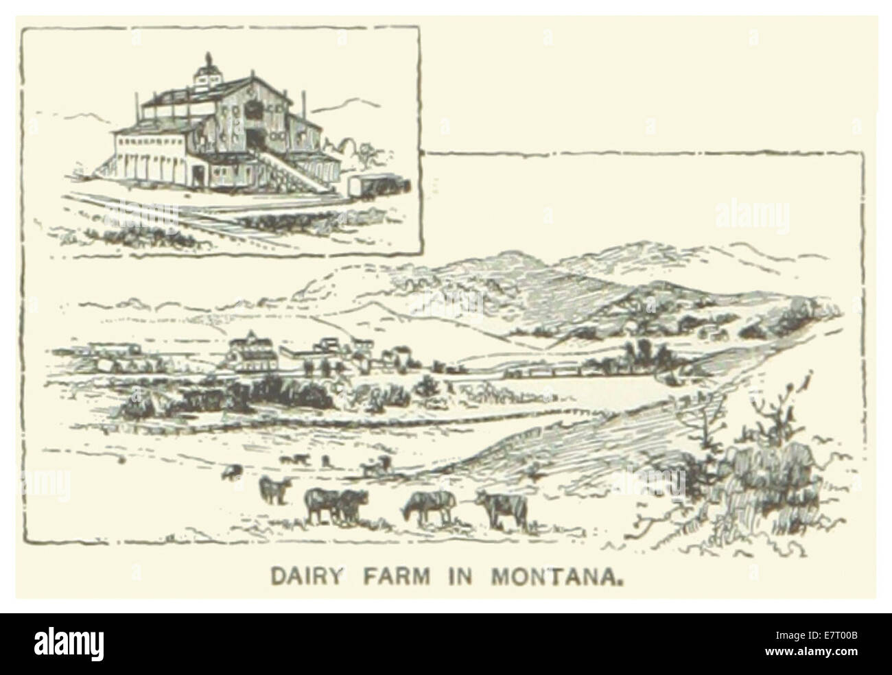 US-MT(1891) p518 DAIRY FARM IN MONTANA Stock Photo