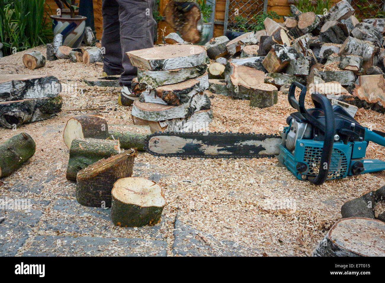 Chainsaw and sawn logs Stock Photo - Alamy