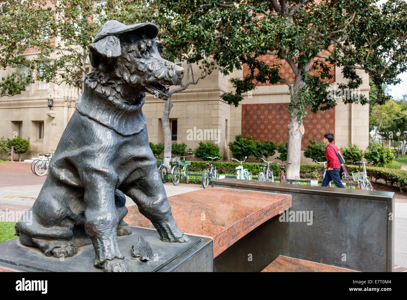 Los Angeles California,Downtown,LA,USC,University of Southern California,university,college,campus,higher education,George Tirebiter,sculpture,dog,swe Stock Photo