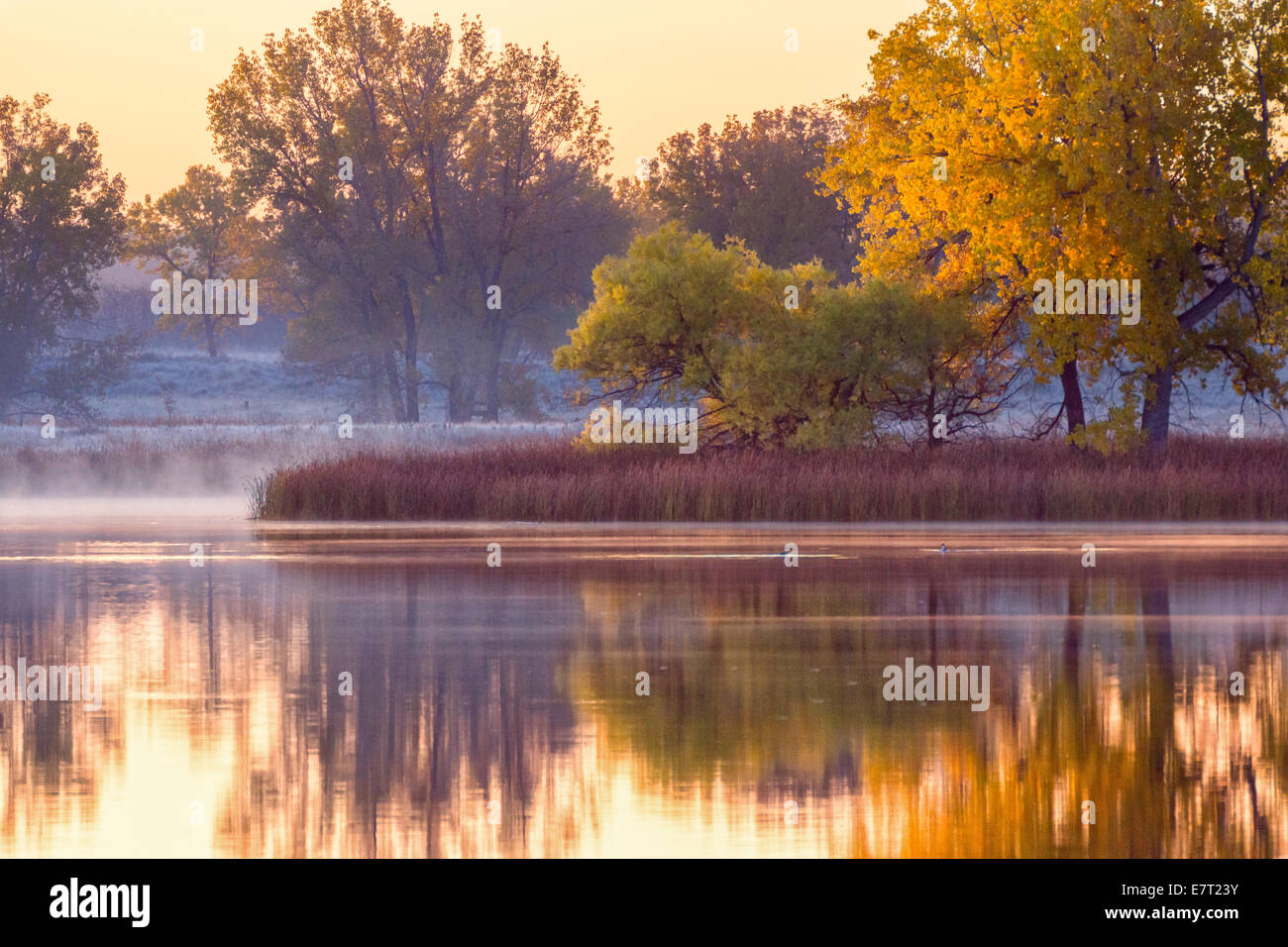 Fog lifts off Lake Ladora in Denver, Colorado on a beautiful morning in Fall Stock Photo