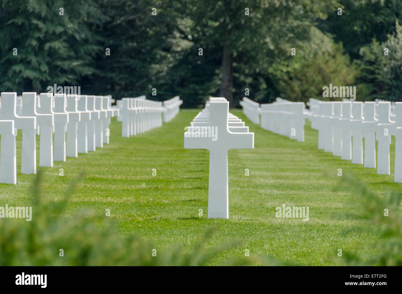 Rows of white headstones Stock Photo Alamy