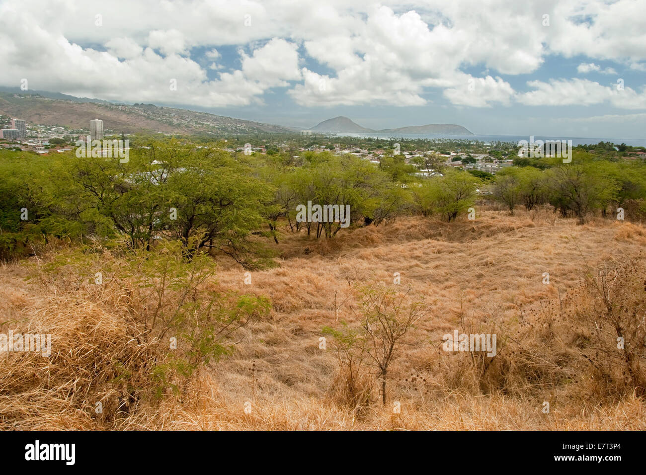 Diamond Head State Monument Park Trail close Honolulu on Oahu Hawaii Stock Photo