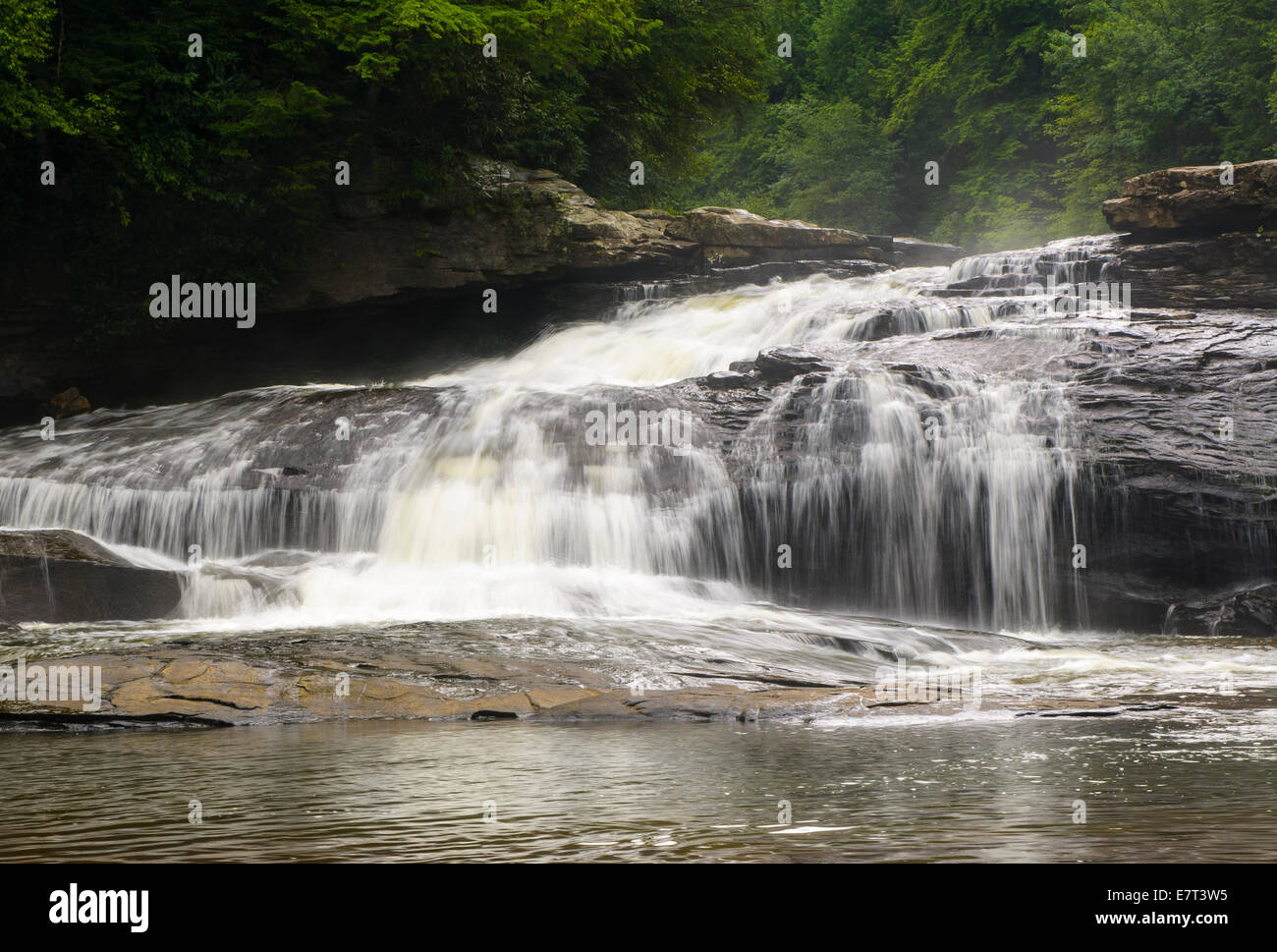 Swallow Falls State Park, Oakland, Maryland USA Stock Photo Alamy