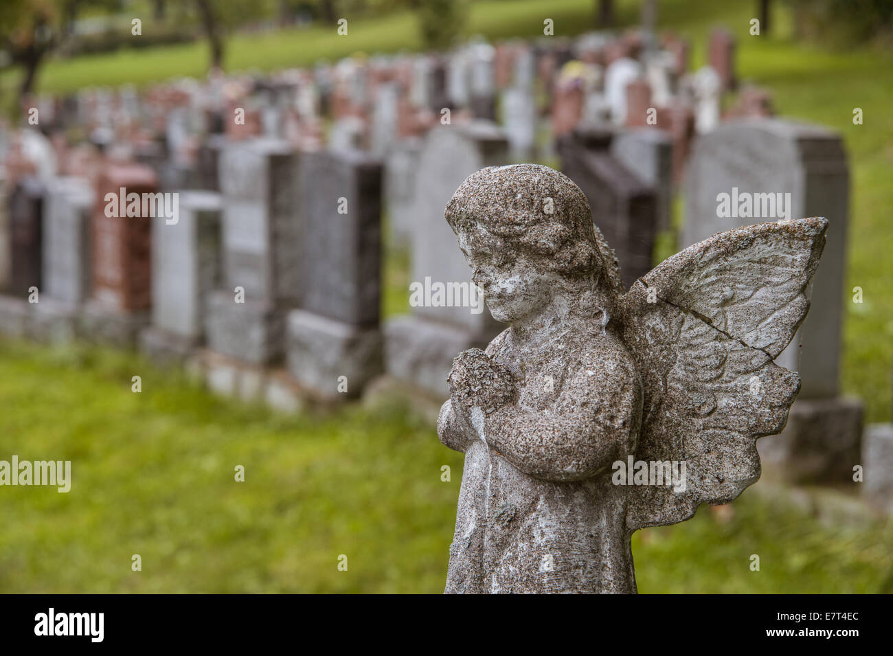 Angel statue facing hundreds of tombstones on a graveyard in Fall Stock Photo
