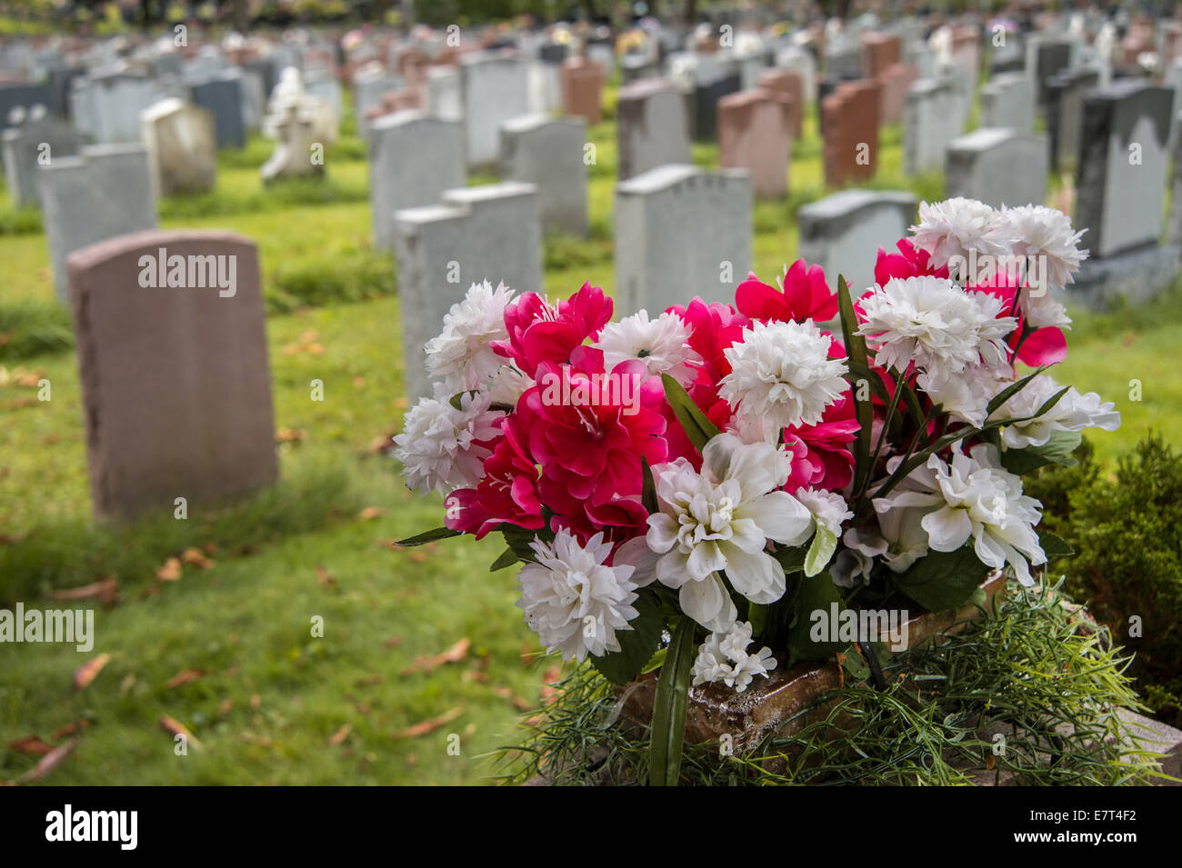 Tombstones on a graveyard in Fall with flowers in the foreground Stock