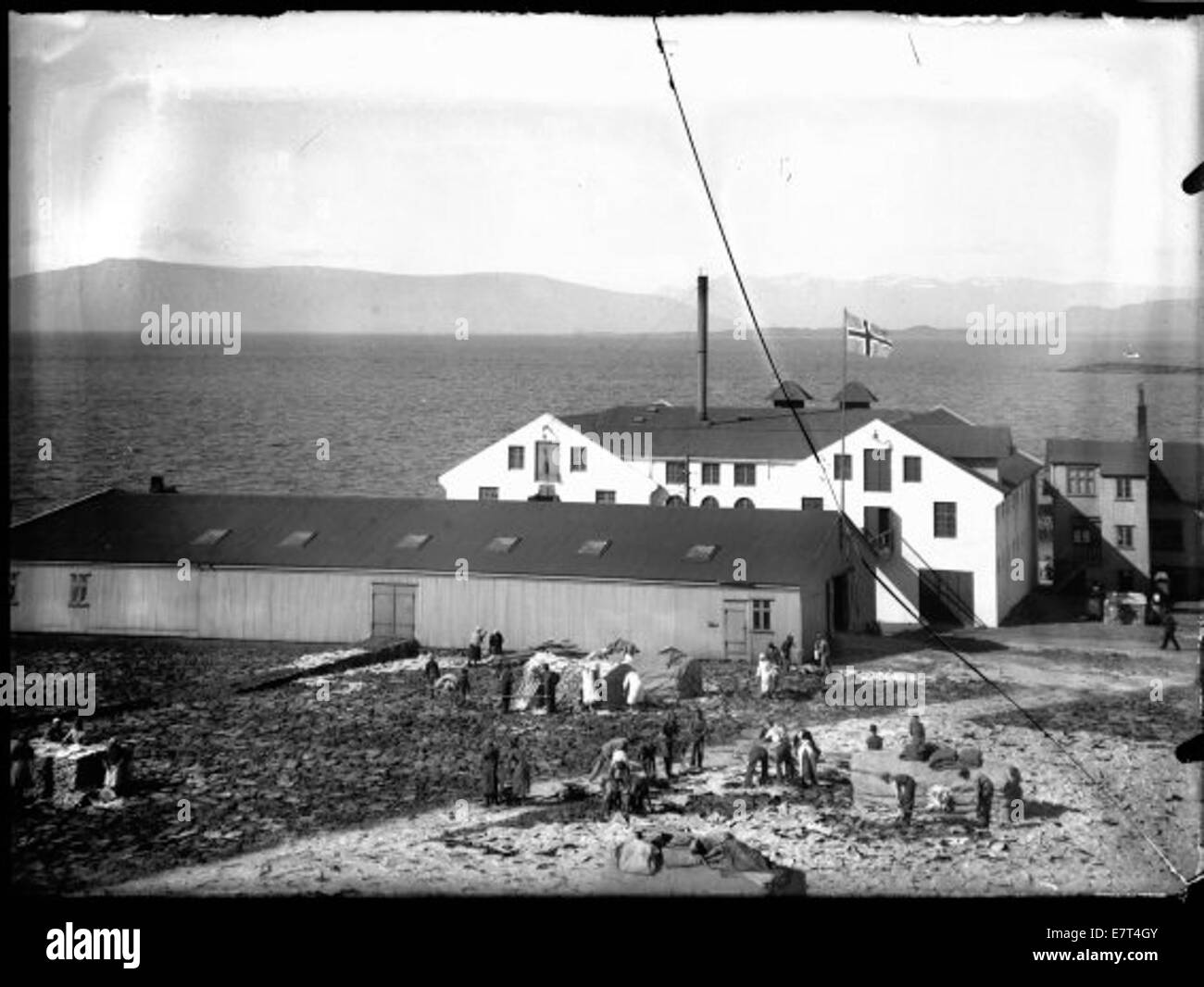 An image depicting traditional saltfish preparation in Reykjavik ...