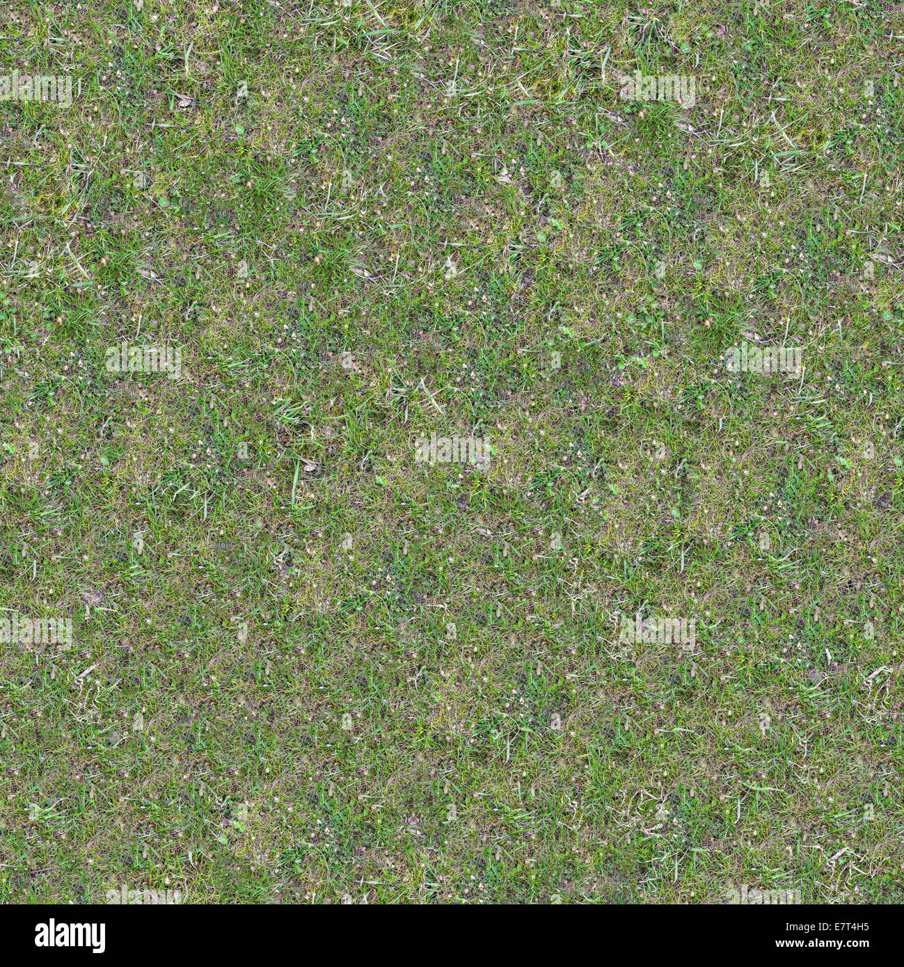 Grassplot hi-res stock photography and images - Alamy
