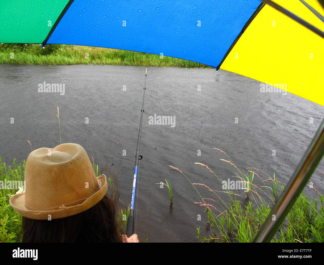 Umbrella fish hi-res stock photography and images - Alamy