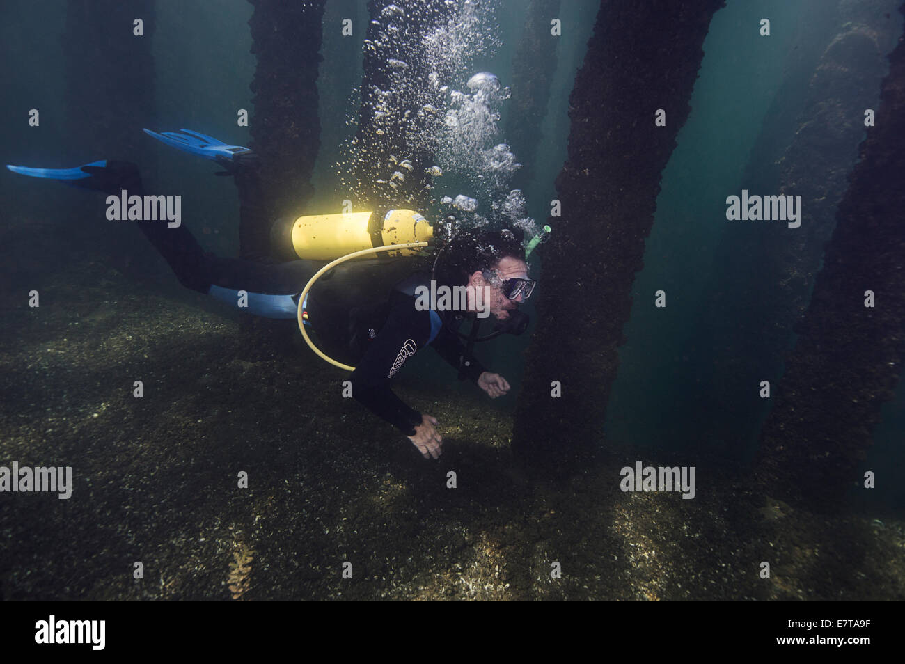 A scuba diver exploring the Train Bridge in Welland, Ontario, Canada. Stock Photo