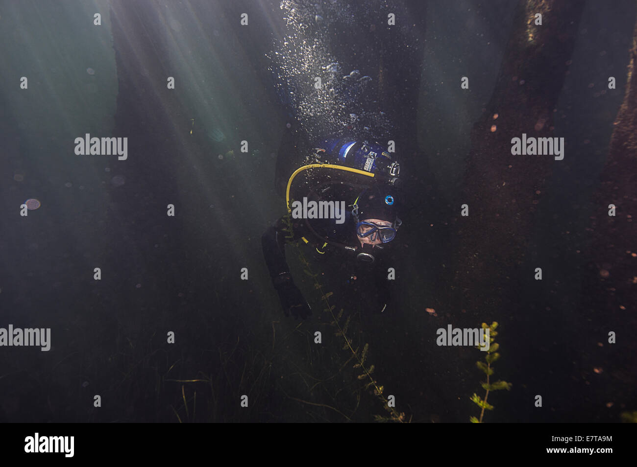 A scuba diver at the Train Bridge in Welland, Ontario, Canada. Stock Photo