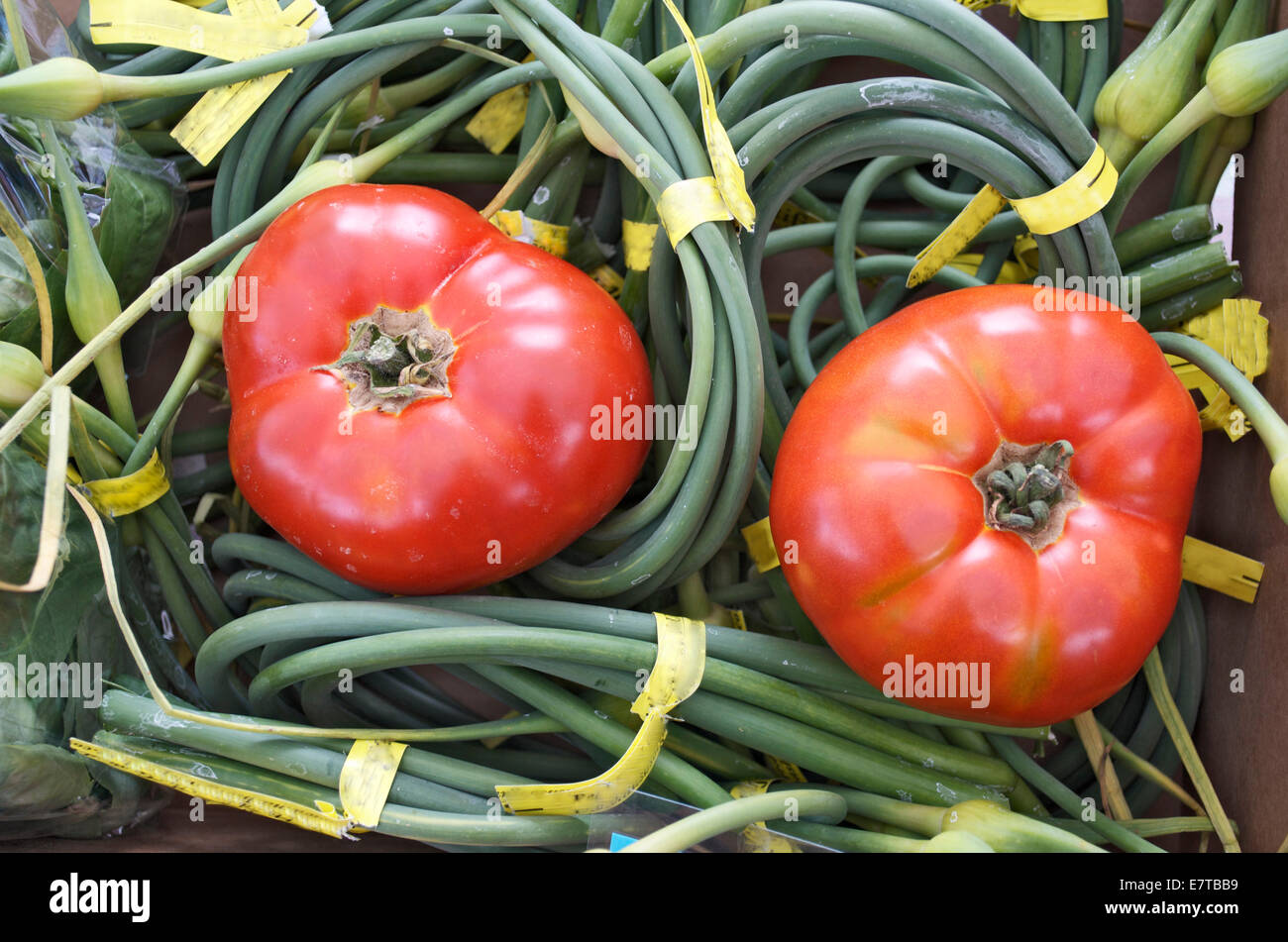 Tomatoes with chives in background. Stock Photo