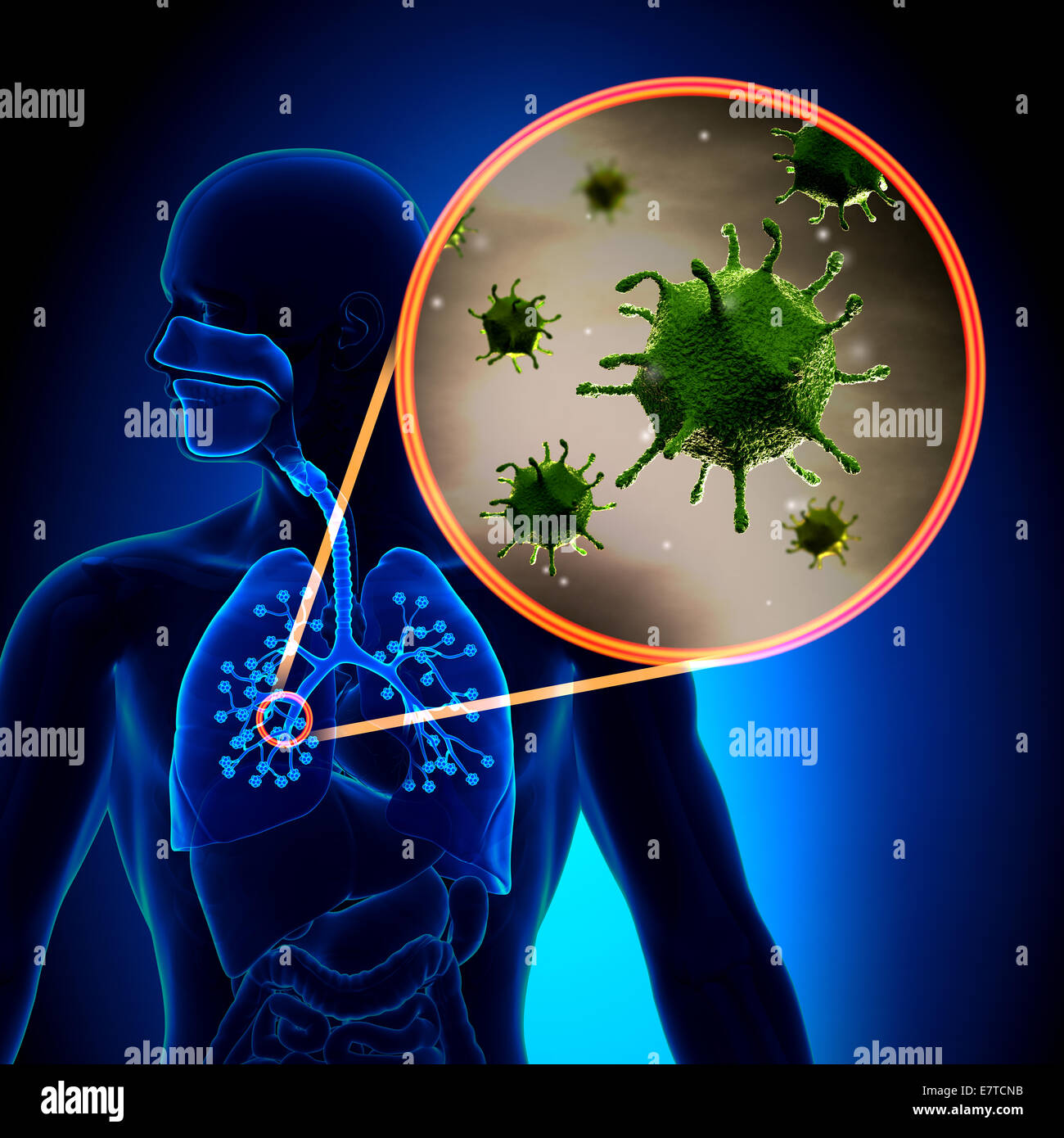 Flu / Cold Virus Stock Photo - Alamy