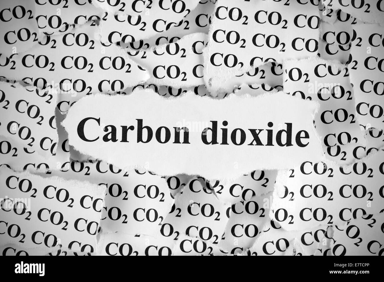 Torn pieces of paper with the word 'Carbon Dioxide'. Black and White. Close-up. Stock Photo