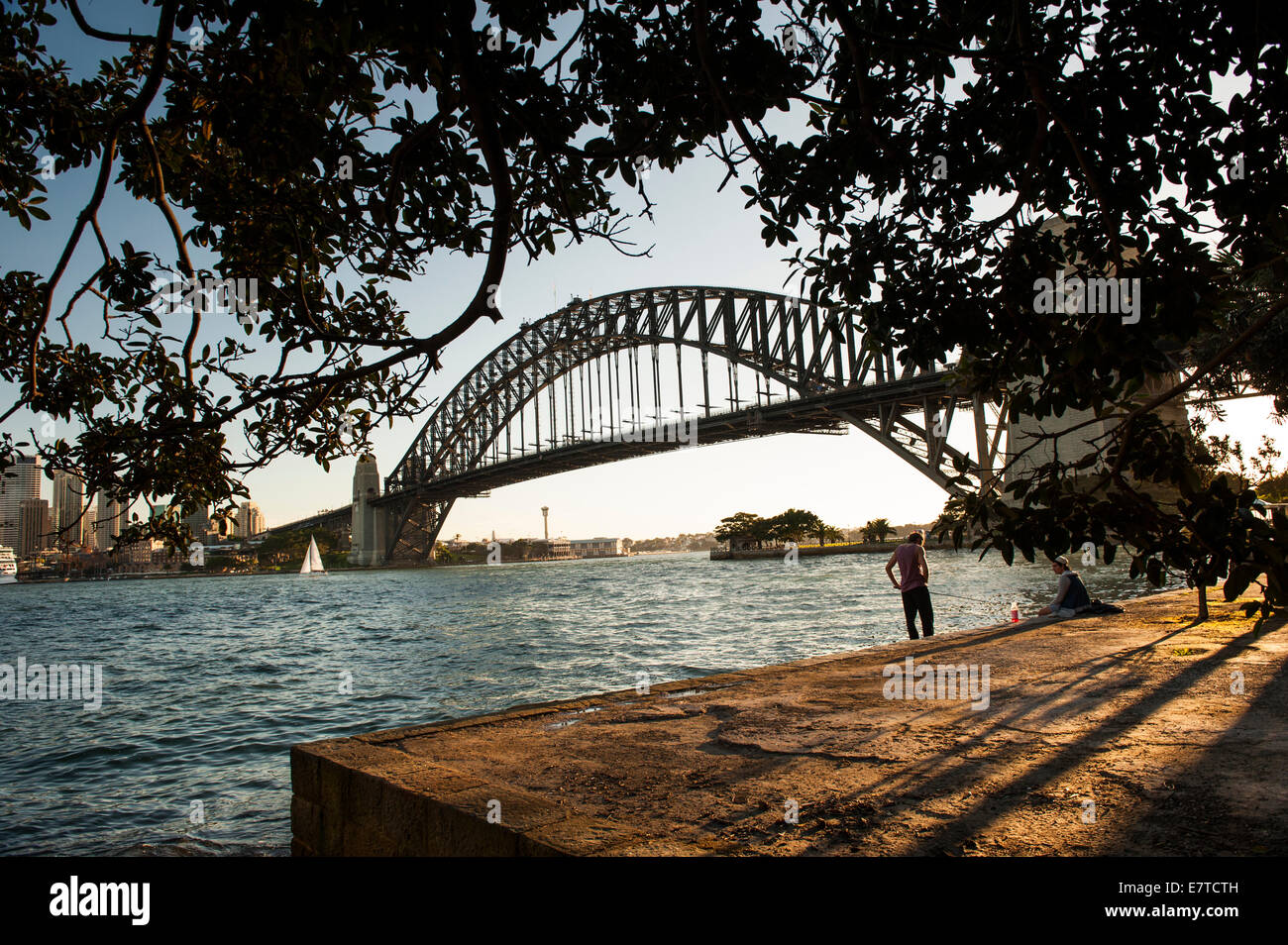 Sydney Harbour Bridge with trees and harbour and a person Stock Photo
