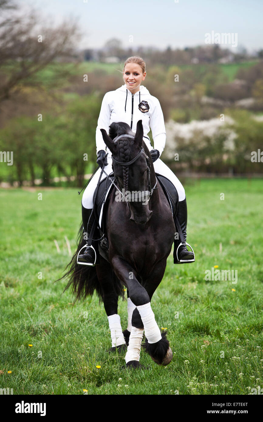 Friesian or Frisian horse, stallion with a female rider on horseback on a meadow, classical dressage, half pass Stock Photo