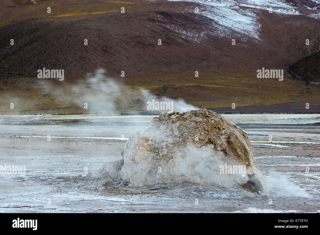 Geyser, geyserite vent releasing steam, El Tatio, the highest geyser