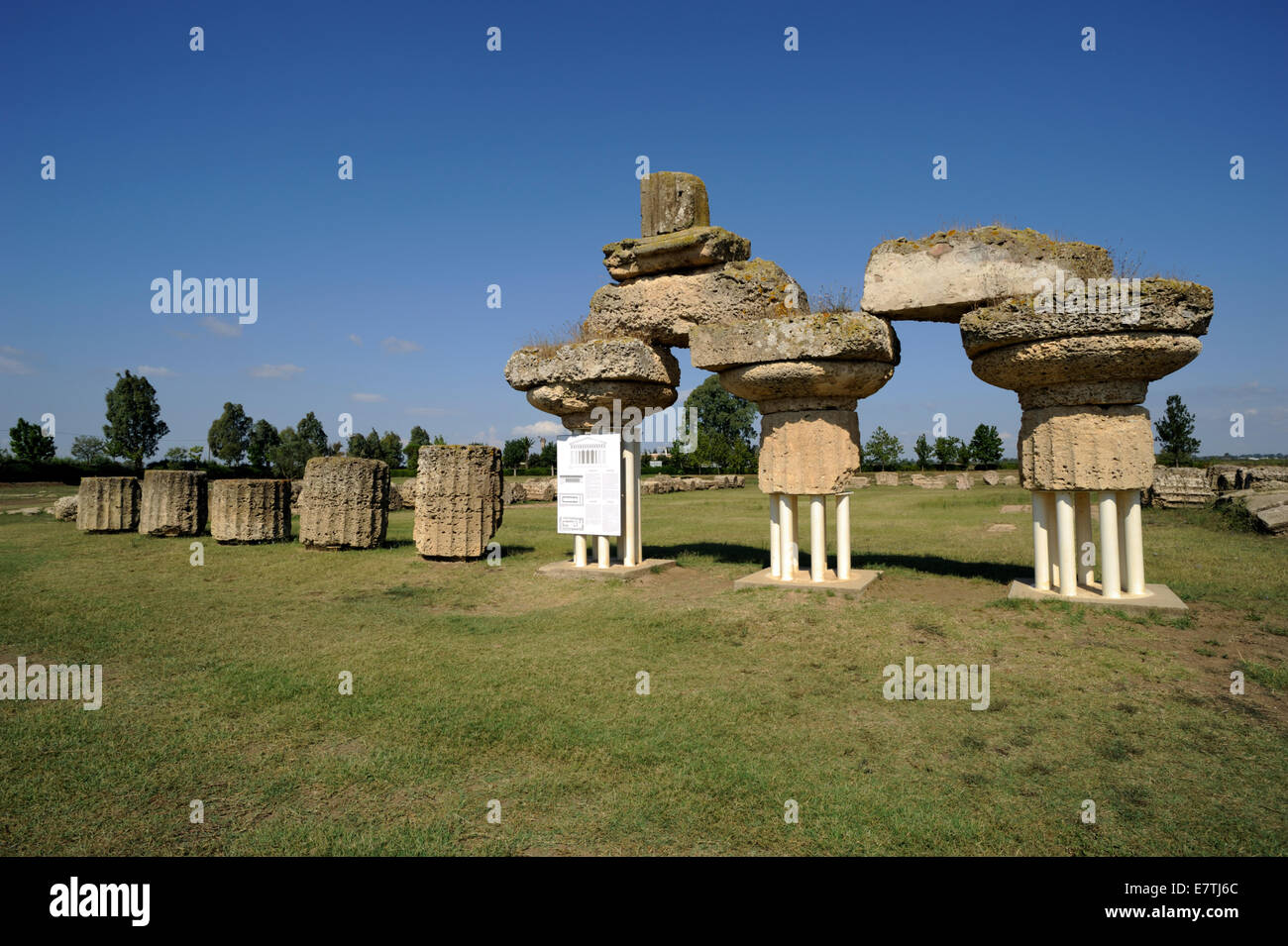 Italy, Basilicata, Metapontum (Metaponto), greek temple of Hera (temple A), doric columns (570-530 BC) Stock Photo