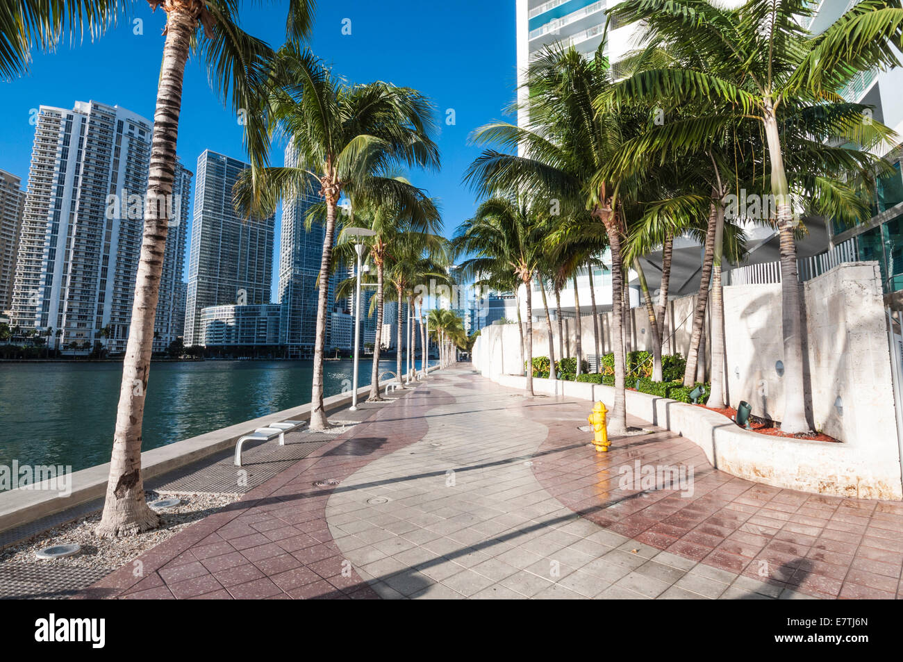 Waterfront promenade with palm trees in Miami, Florida, USA Stock Photo