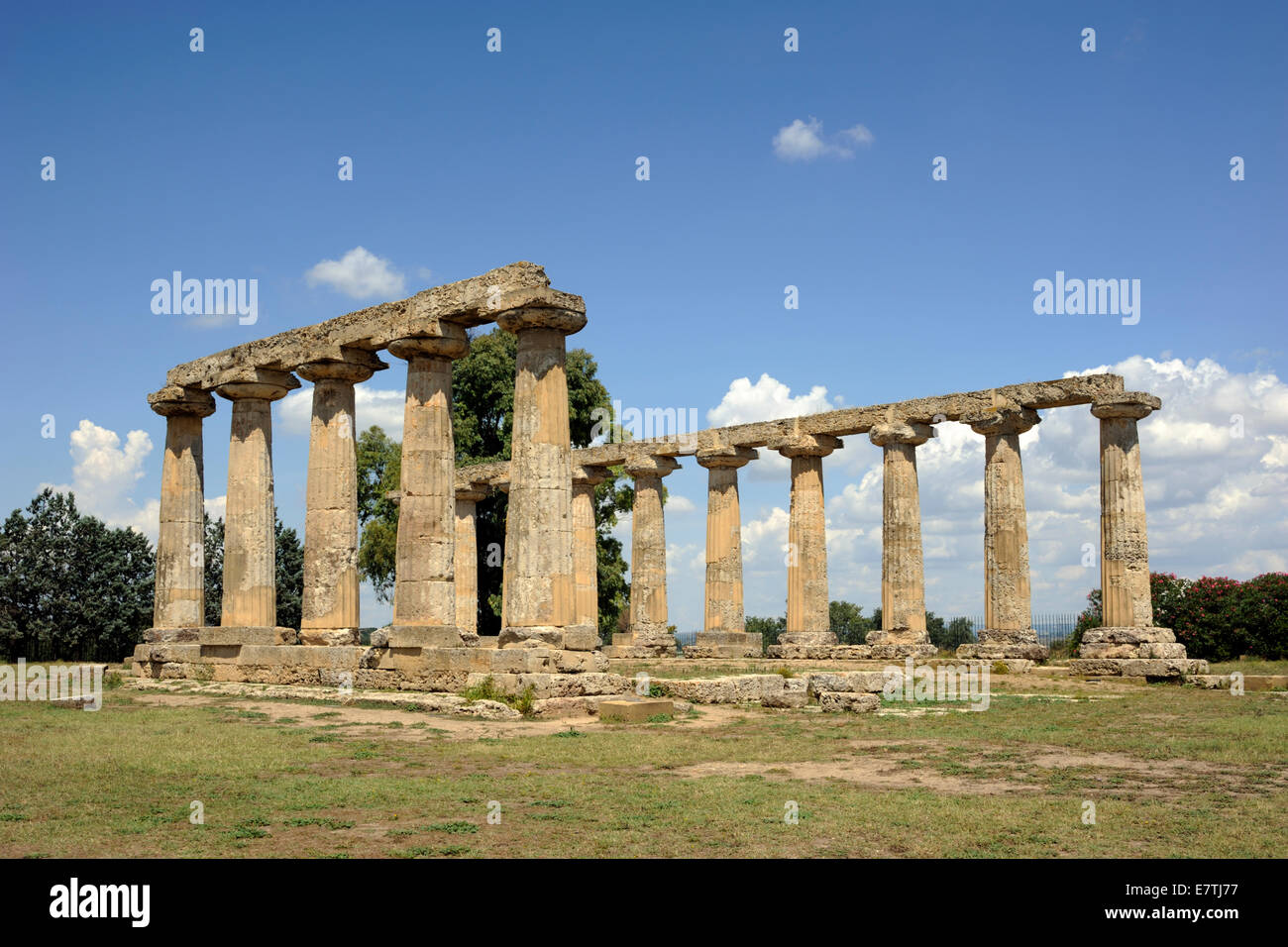 italy, basilicata, metaponto, tavole palatine, greek temple of hera Stock Photo