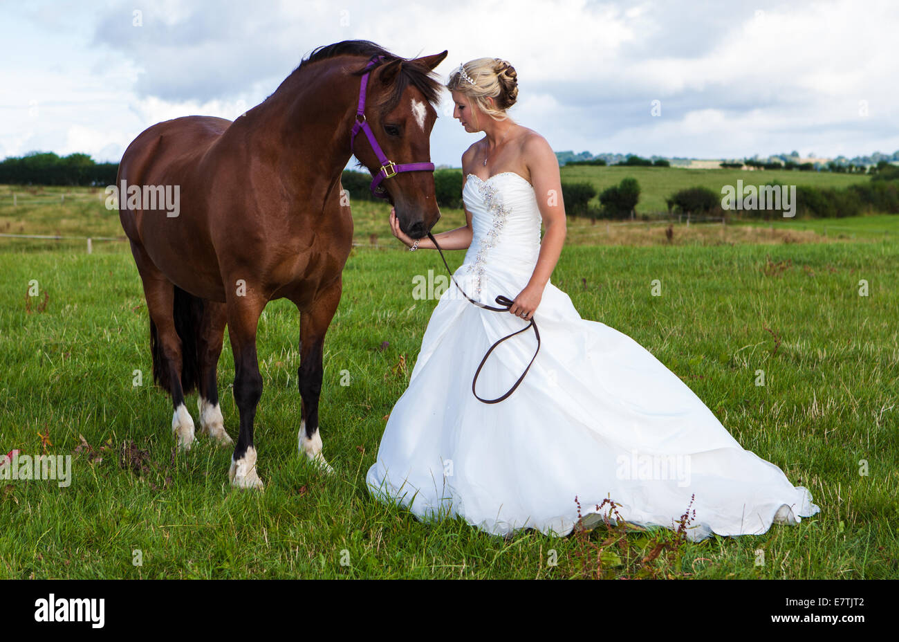 Bride In Wedding Dress With Horse Stock Photo 73685698 Alamy