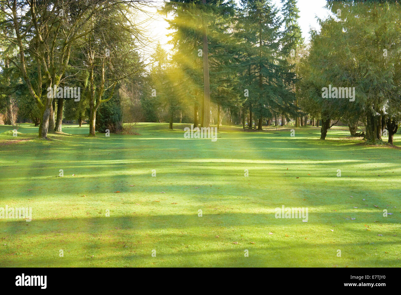 Lawn park park sun hi-res stock photography and images - Alamy