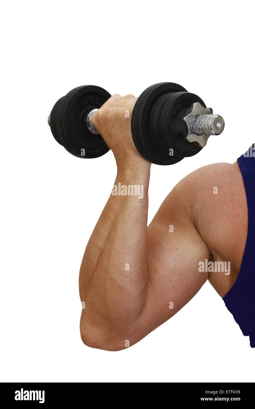 Muscled Arm Lifting Weights Isolated On White Background Stock Photo,  Picture and Royalty Free Image. Image 20776522.