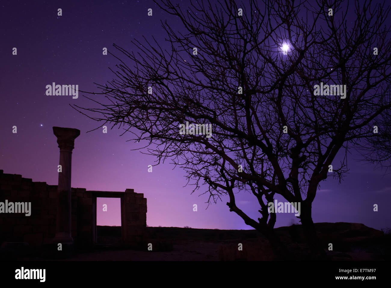 Lonely tree under blue night sky with moon and stars Stock Photo - Alamy