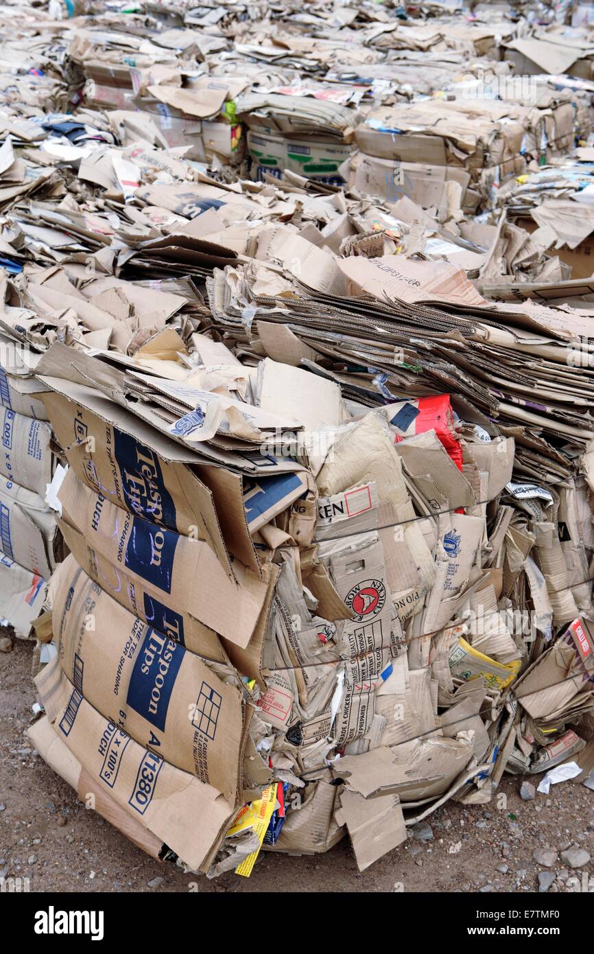 Bundles of cardboard for recycling. Photographed in Grahamstown, Eastern Cape, South Africa. Stock Photo
