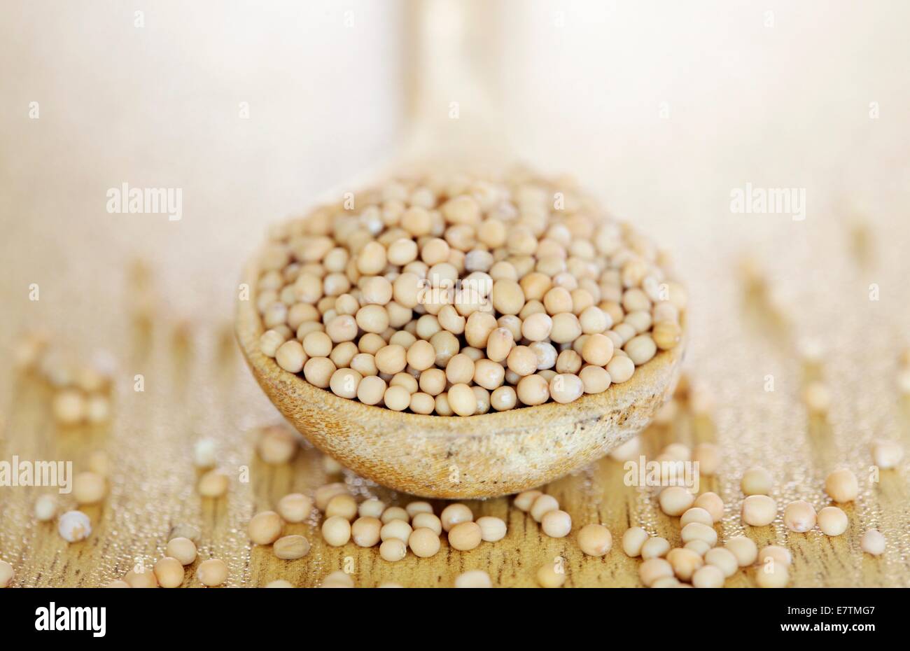 Yellow mustard seeds (Brassica alba Stock Photo Alamy