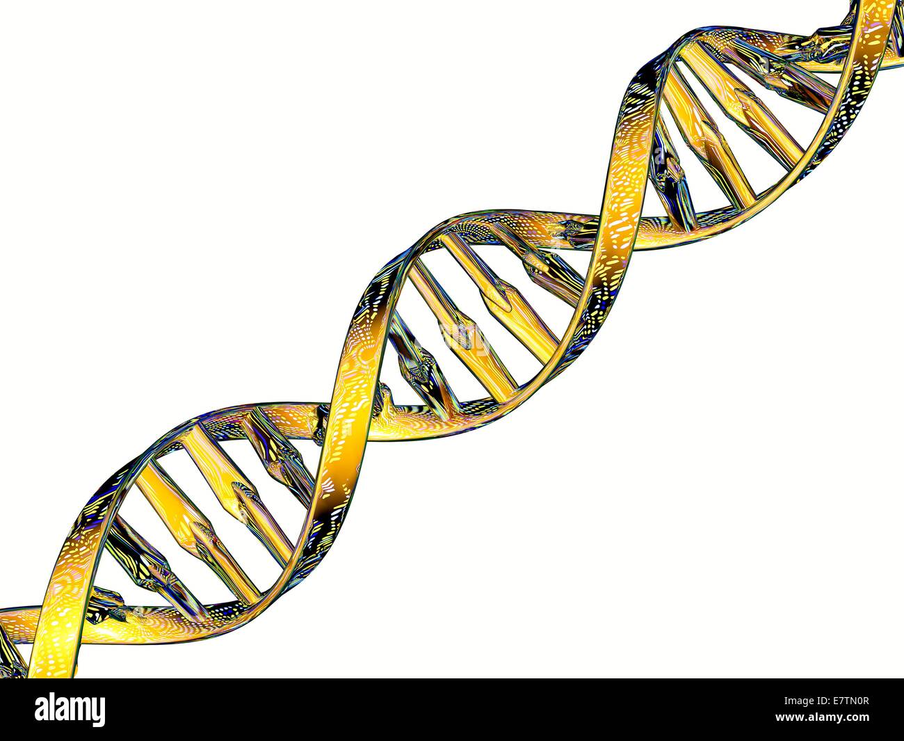 DNA double helix reflecting a DNA microarray. Microarray technology allows biologists to study thousands of genes at once. An array of DNA sequences for a particular set of genes is created, fixed to a supporting slide or chip. Samples of genetic material Stock Photo