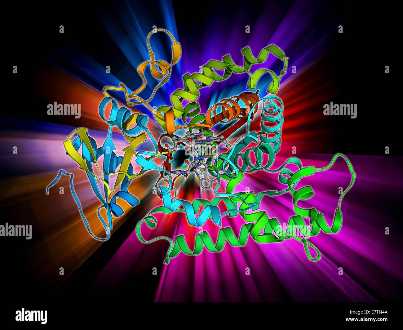Cytochrome P450 and fluconazole. Molecular model of cytochrome P450