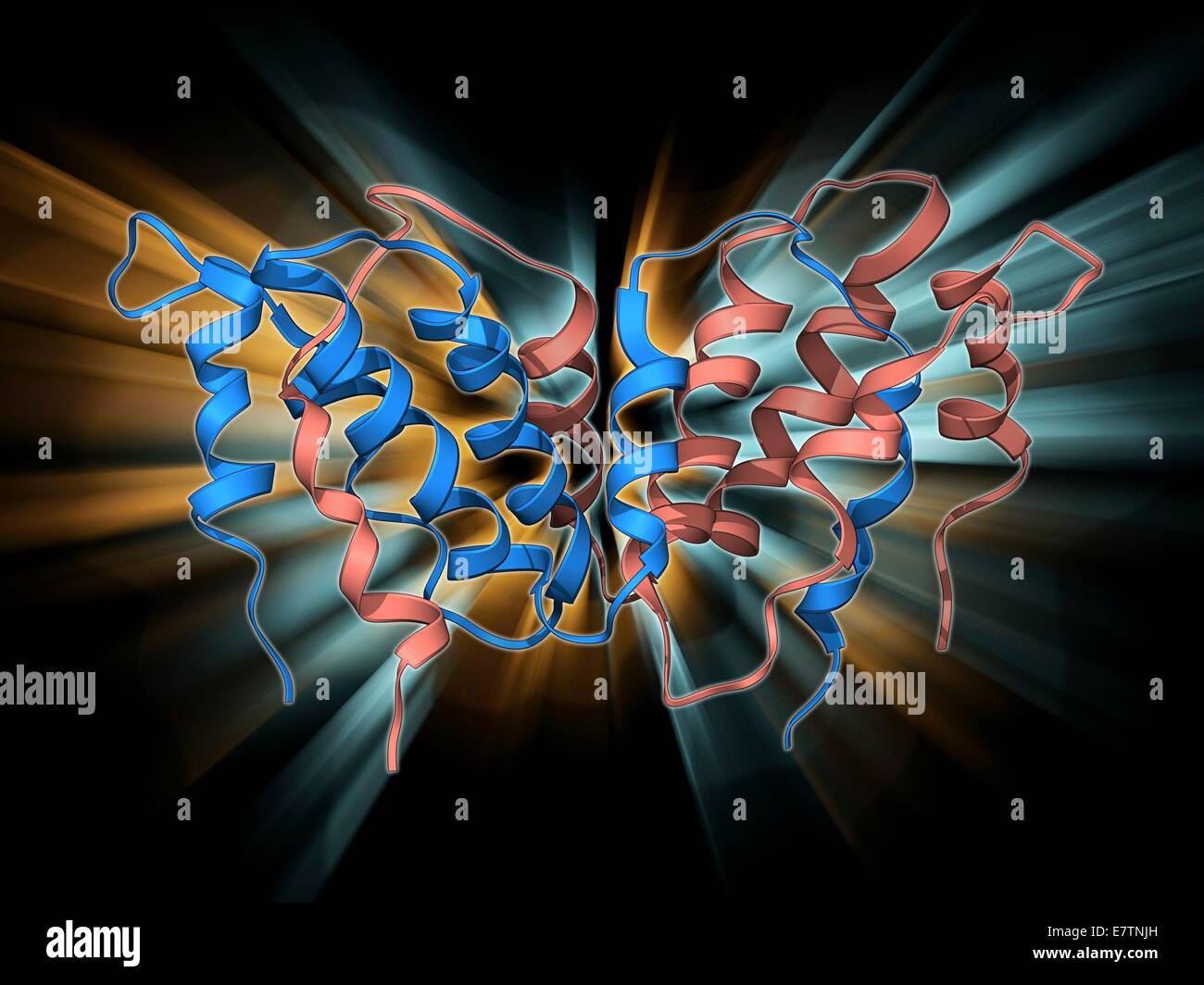 Interferon gamma hires stock photography and images Alamy