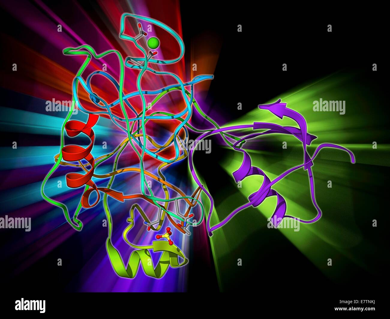 Enzyme break down hires stock photography and images Alamy