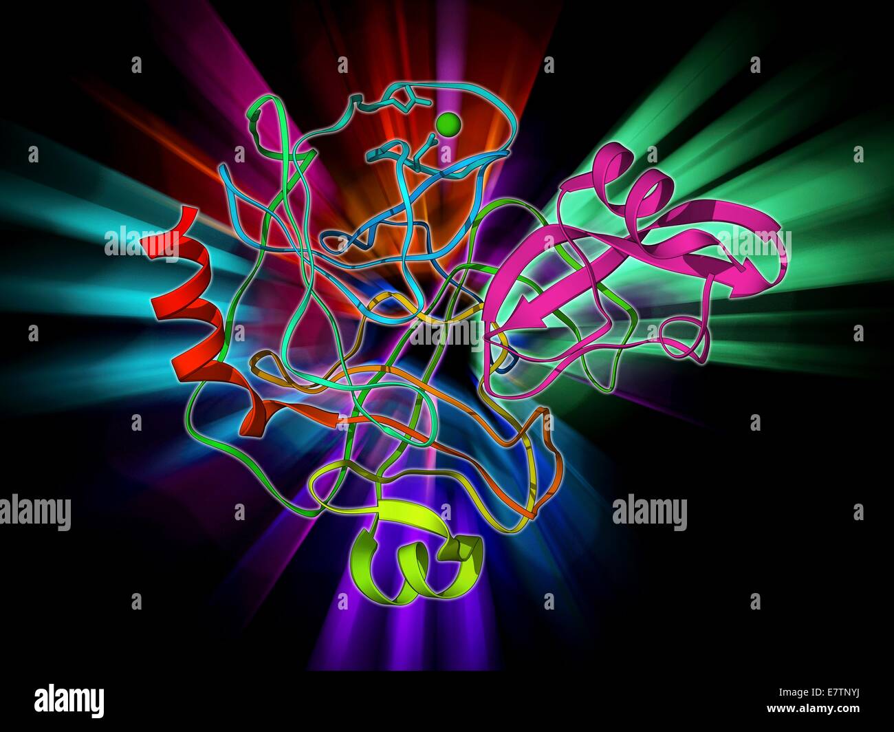 Enzyme break down hires stock photography and images Alamy